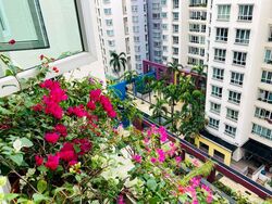 The Floravale (D22), Condominium #364622581
